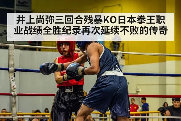 井上尚弥三回合残暴KO日本拳王职业战绩全胜纪录再次延续不败的传奇