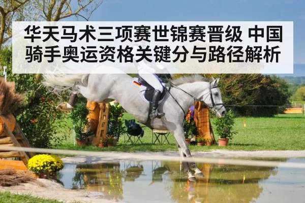 equestrian eventing cross country horse